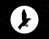 Photo of a raven silhouetted against the moon